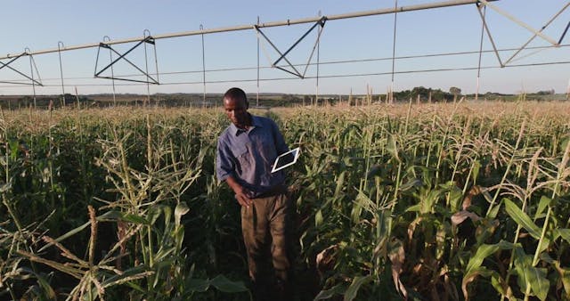 /how-agtech-and-blockchain-could-invigorate-africas-startup-ecosystem-9f1t35ys feature image