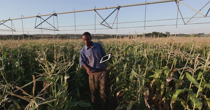 /how-agtech-and-blockchain-could-invigorate-africas-startup-ecosystem-9f1t35ys feature image