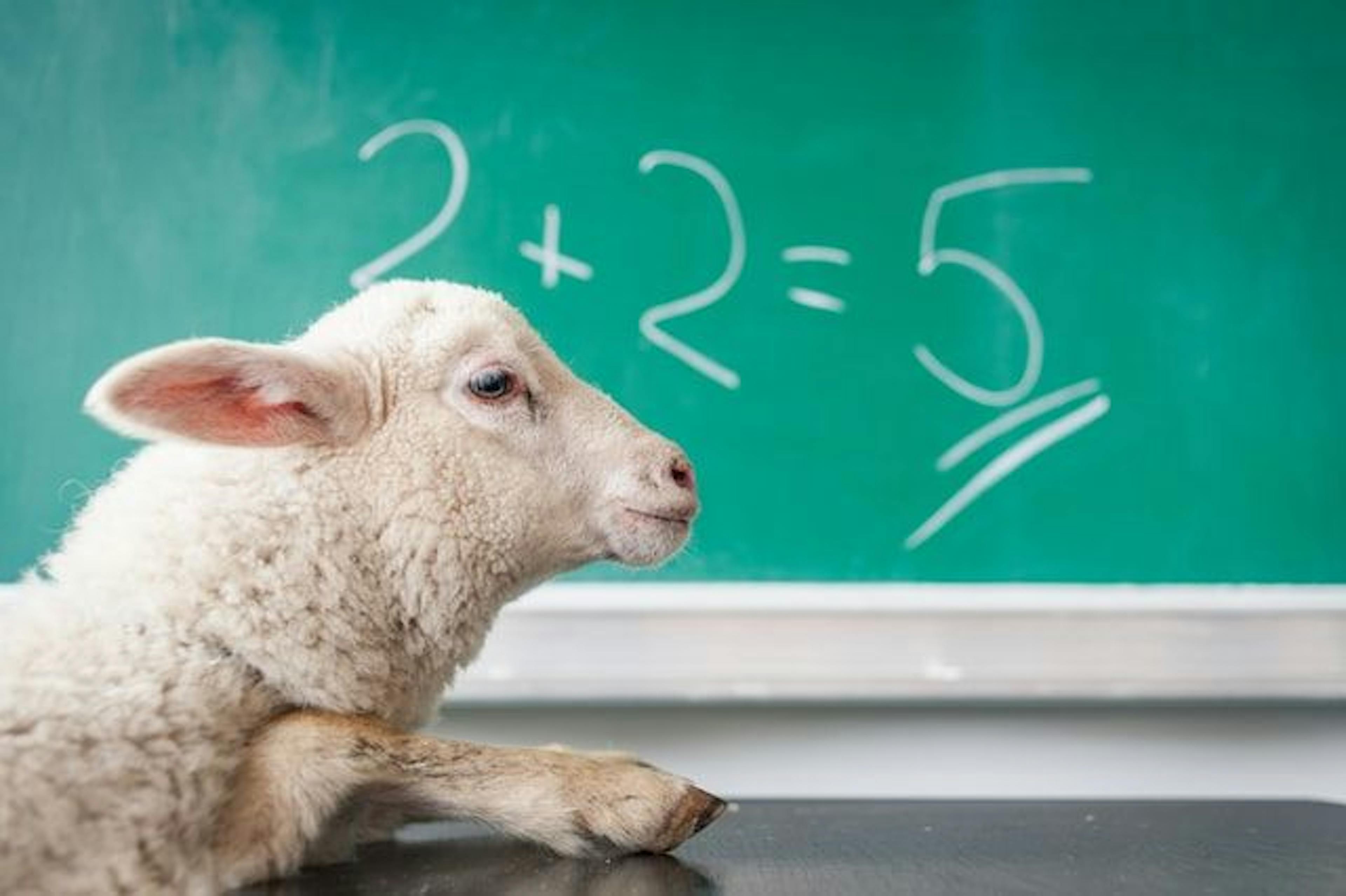 A Self-Learner’s Guide to Combating UX Research & Design Misinformation