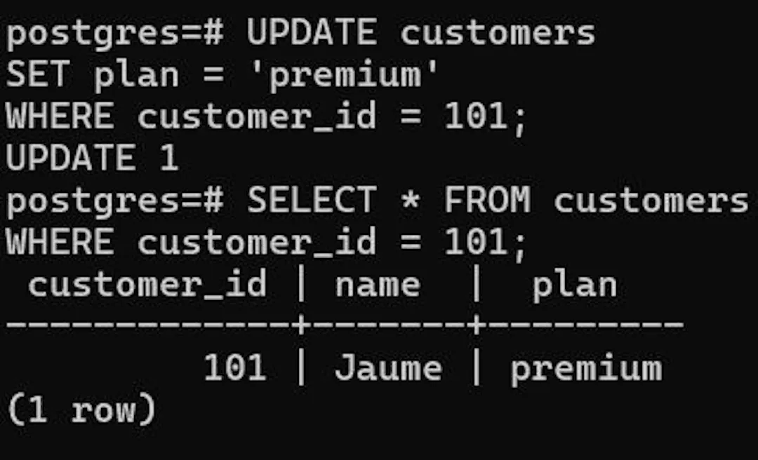 PostgreSQL confirms that customer 101 now has the premium subscription