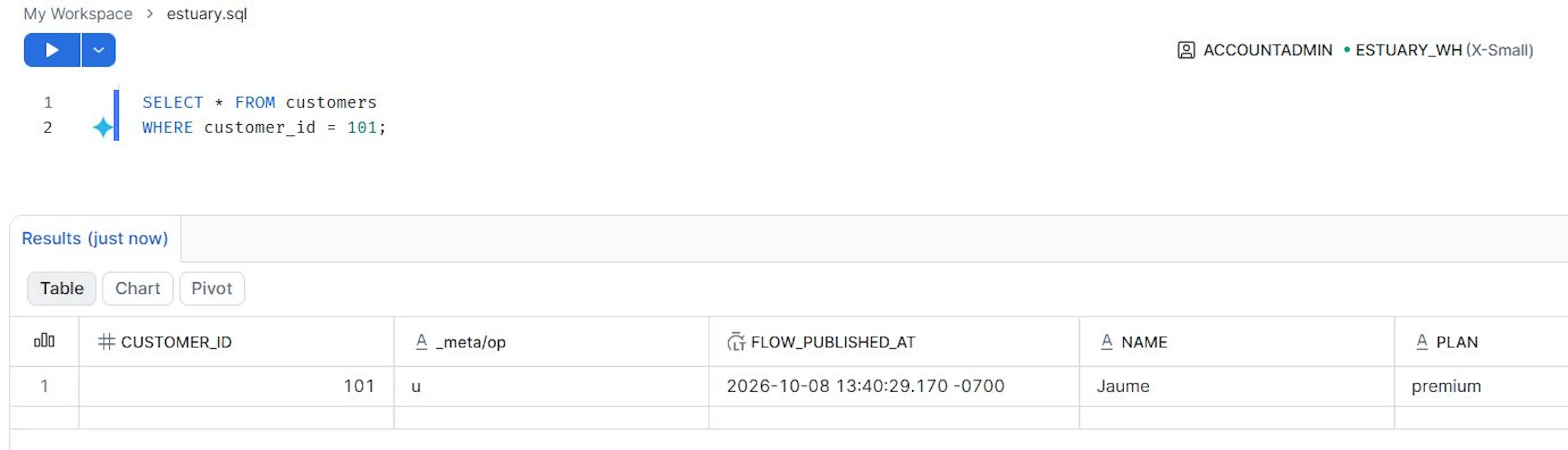 Snowflake reflects the updated subscription for customer 101, with the operation metadata indicating an update