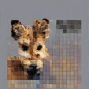 Examination HackerNoon profile picture