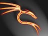 Kali Linux Tutorials