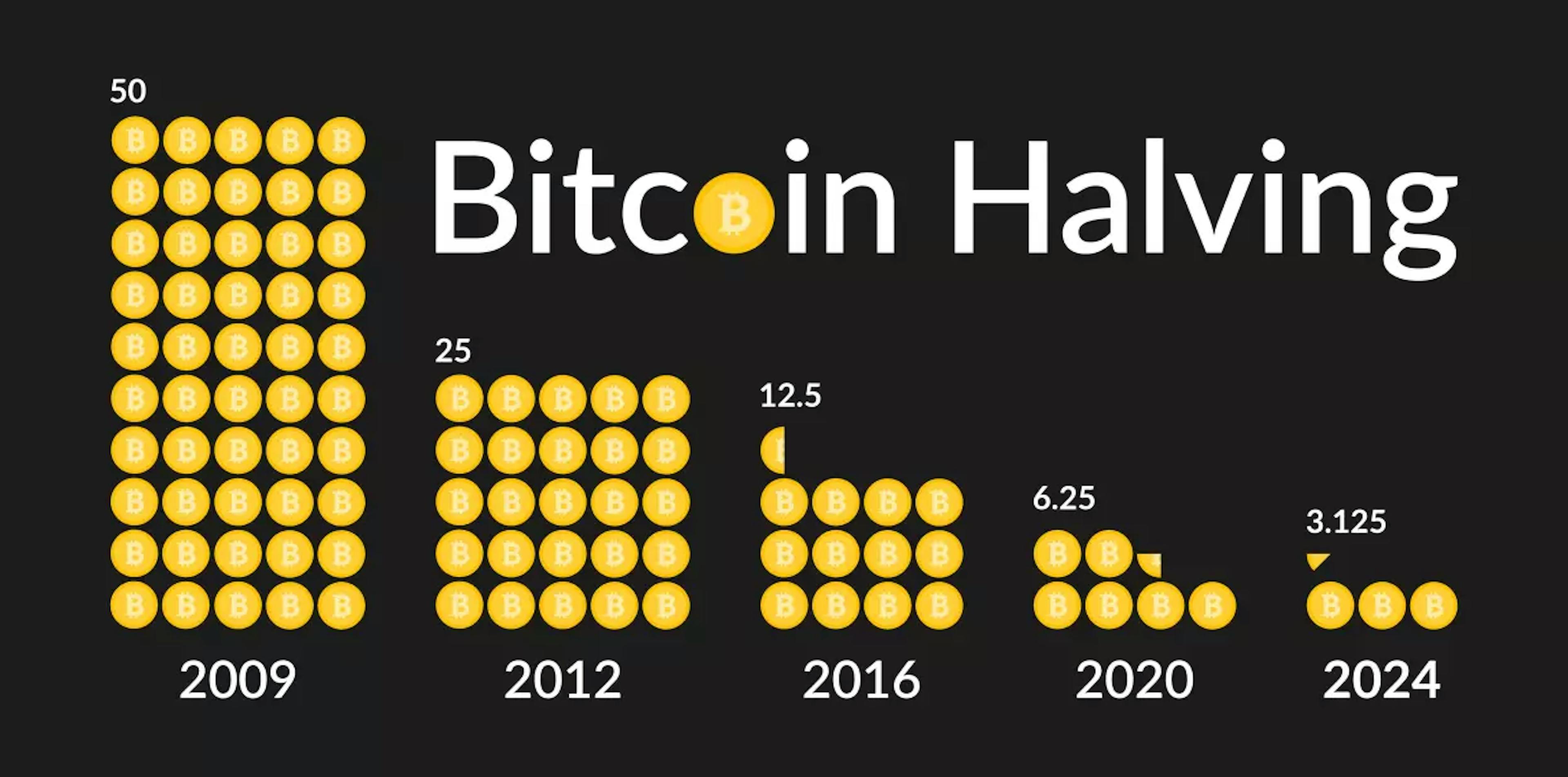 Photo Source: https://www.datawallet.com/crypto/bitcoin-halving-countdown