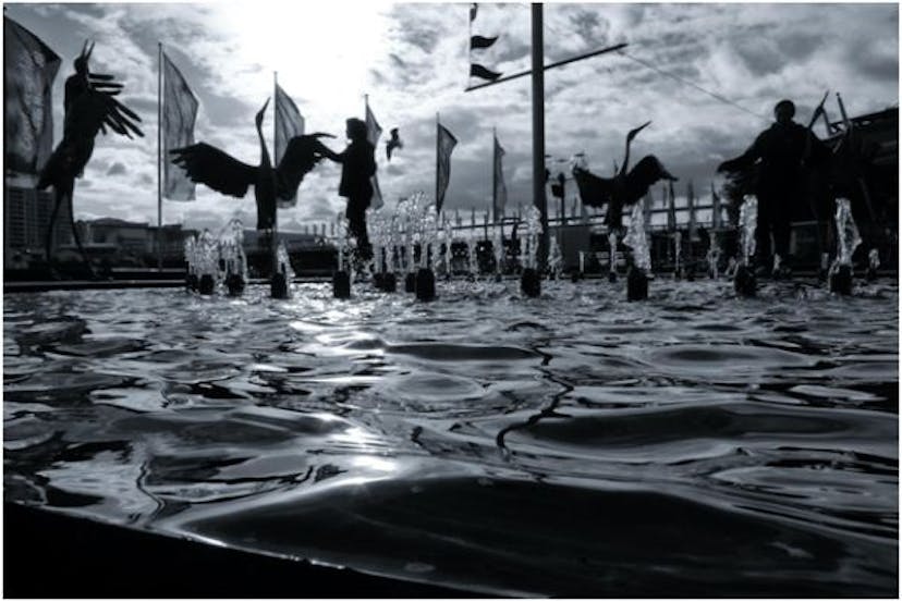 /the-ultimate-guide-to-monochromatic-photography-wm4d31x3 feature image