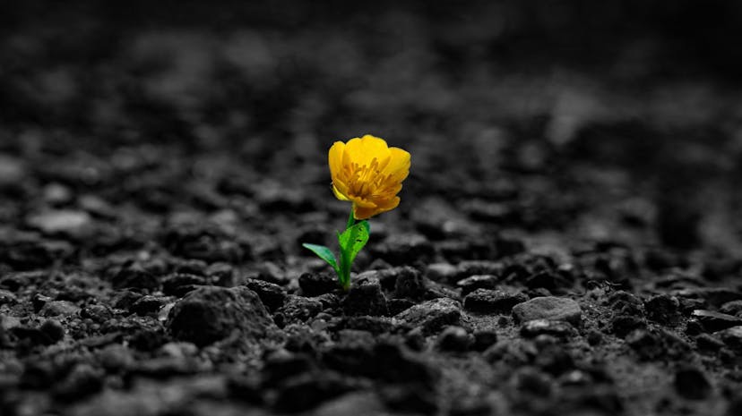 /resilience-of-smbs-during-the-recession-ceo-strategies-for-success-in-2023 feature image
