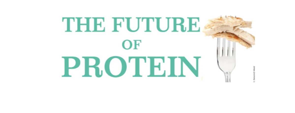 featured image - The Future of Protein