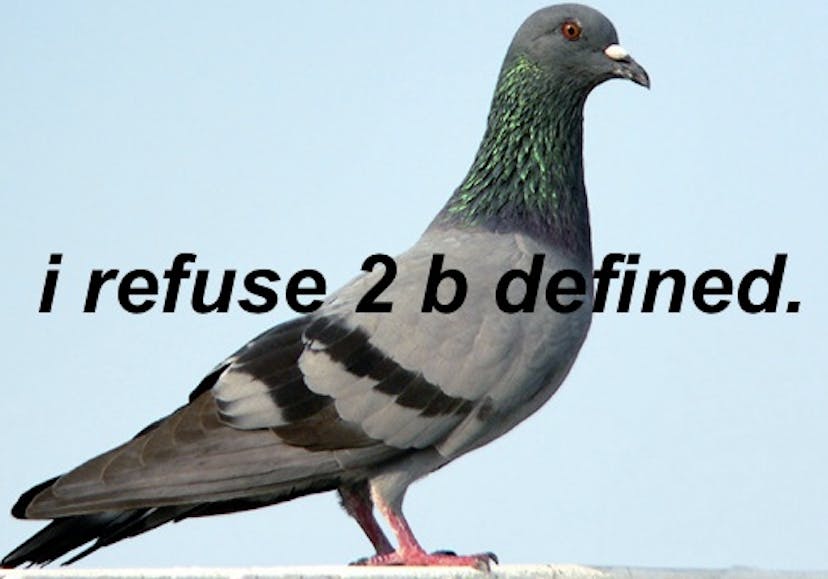 /any-cons-to-specializing-in-a-front-end-framework-co8n30y9 feature image