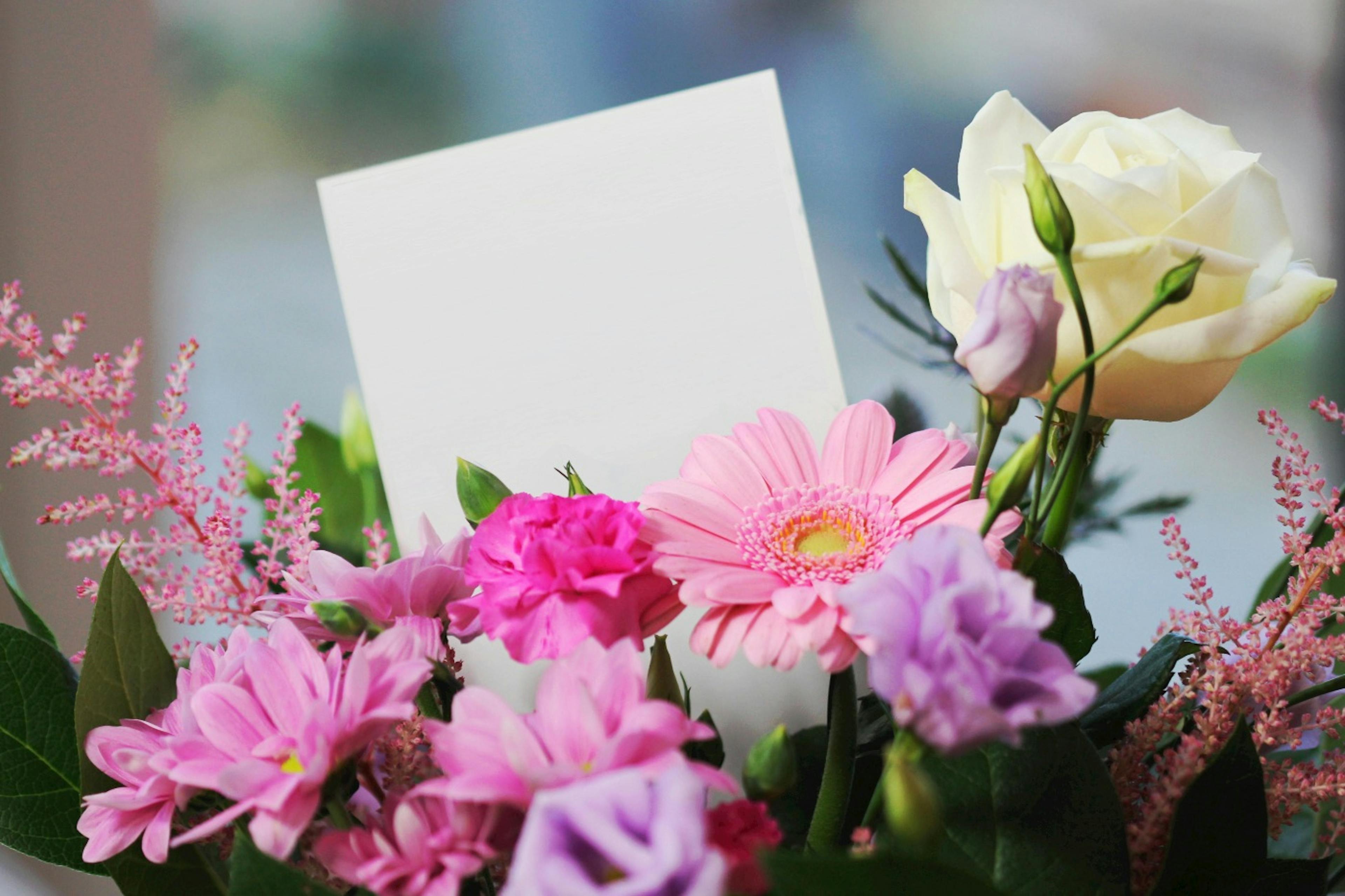 Bouquet of different flowers.