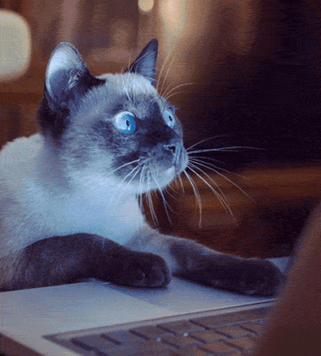 featured image - TODAY: Spotify 💚 Social · Y FB 💸 $400M on Giphy · Uber & Ryanair Cut Jobs