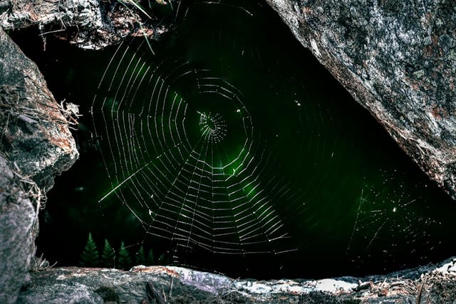 /the-dark-web-and-banking-what-financial-institutions-need-to-know feature image