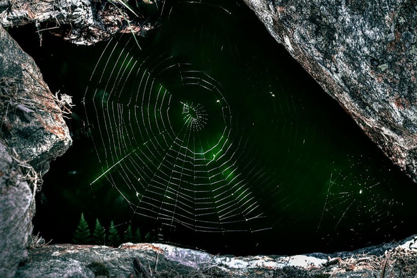 /the-dark-web-and-banking-what-financial-institutions-need-to-know feature image