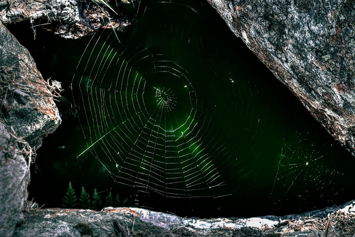 featured image - The Dark Web and Banking: What Financial Institutions Need to Know