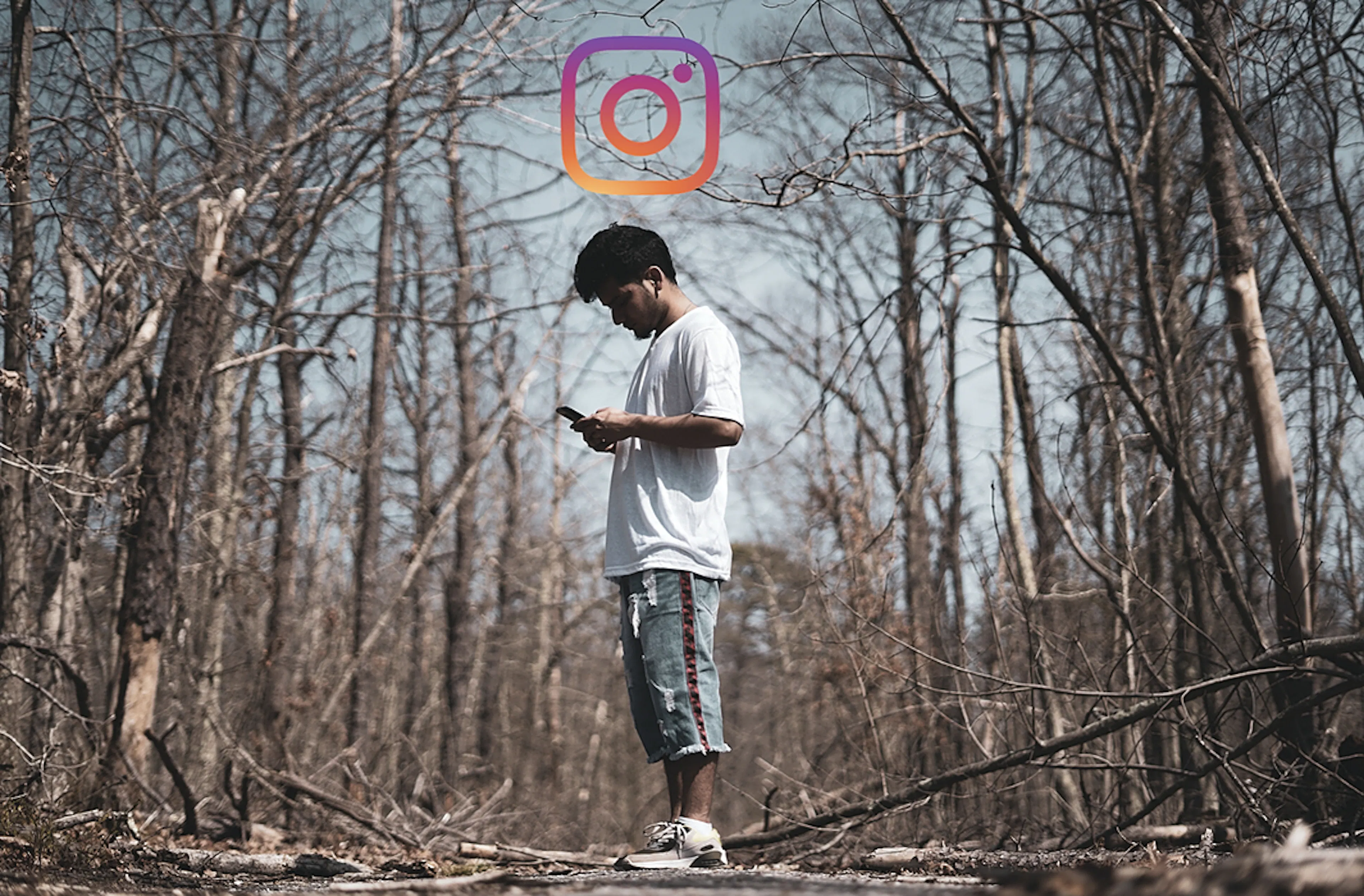 Post image 6