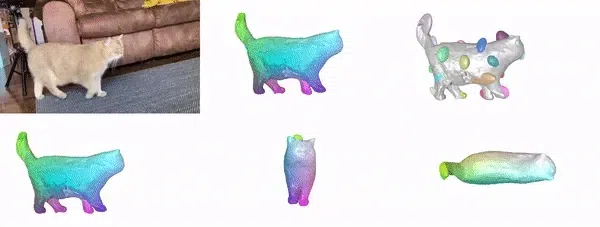 featured image - Introducing BANMo: From Cat Pictures to Deformable 3D Models