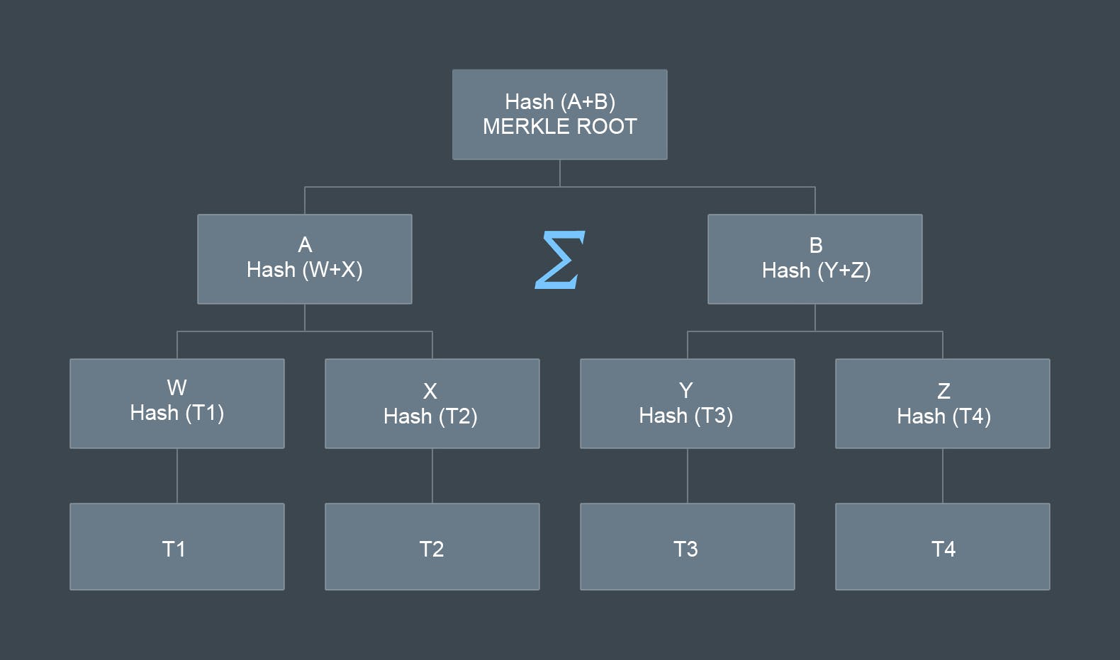 Getting to the Root of the Merkle Tree Concept and How it Affects Blockchain  Technology | HackerNoon