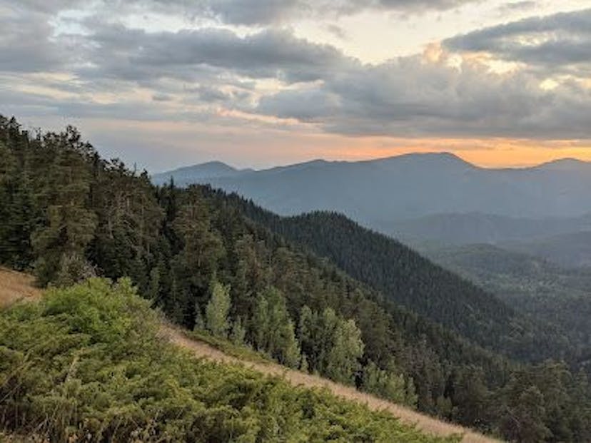 Borjomi Nature Reserve