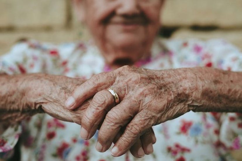 /why-virtual-pets-are-becoming-a-staple-in-senior-care feature image