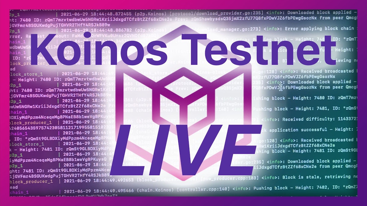 featured image - Koinos Testnet Just Went LIVE!