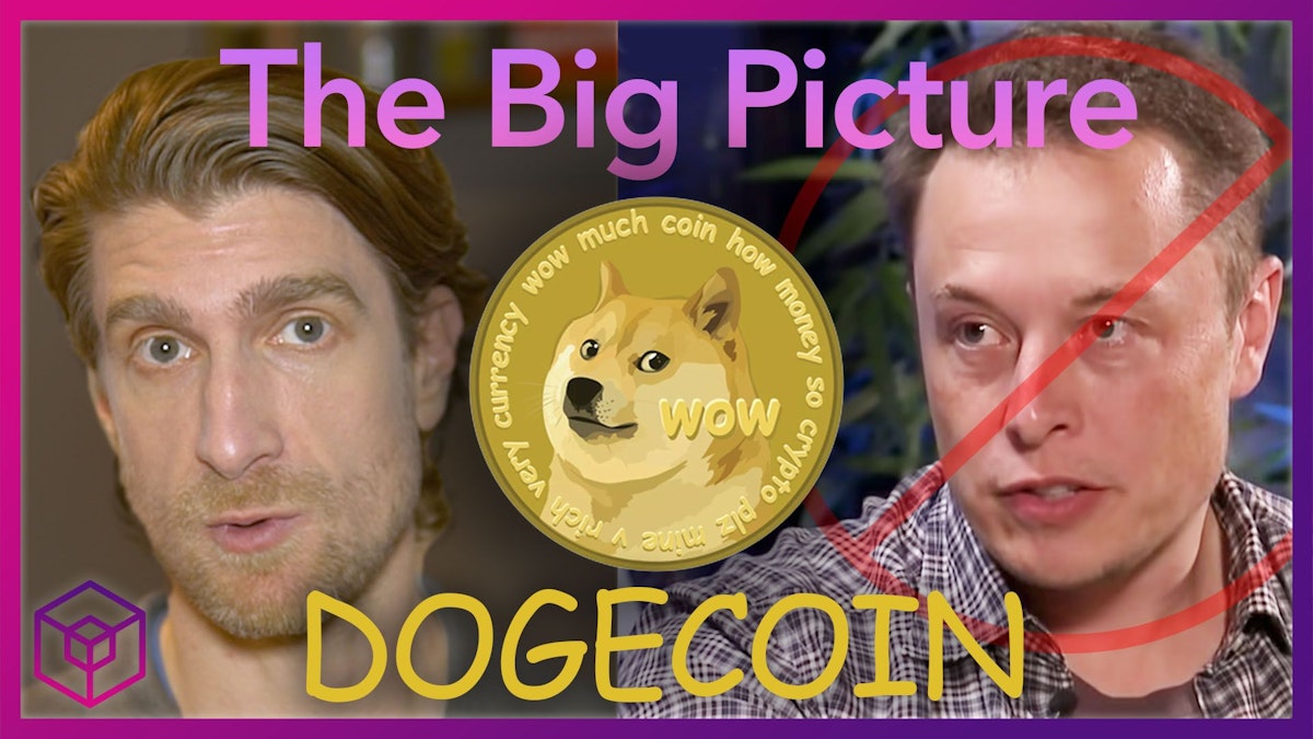 featured image - Is Elon Musk WRONG About Dogecoin?