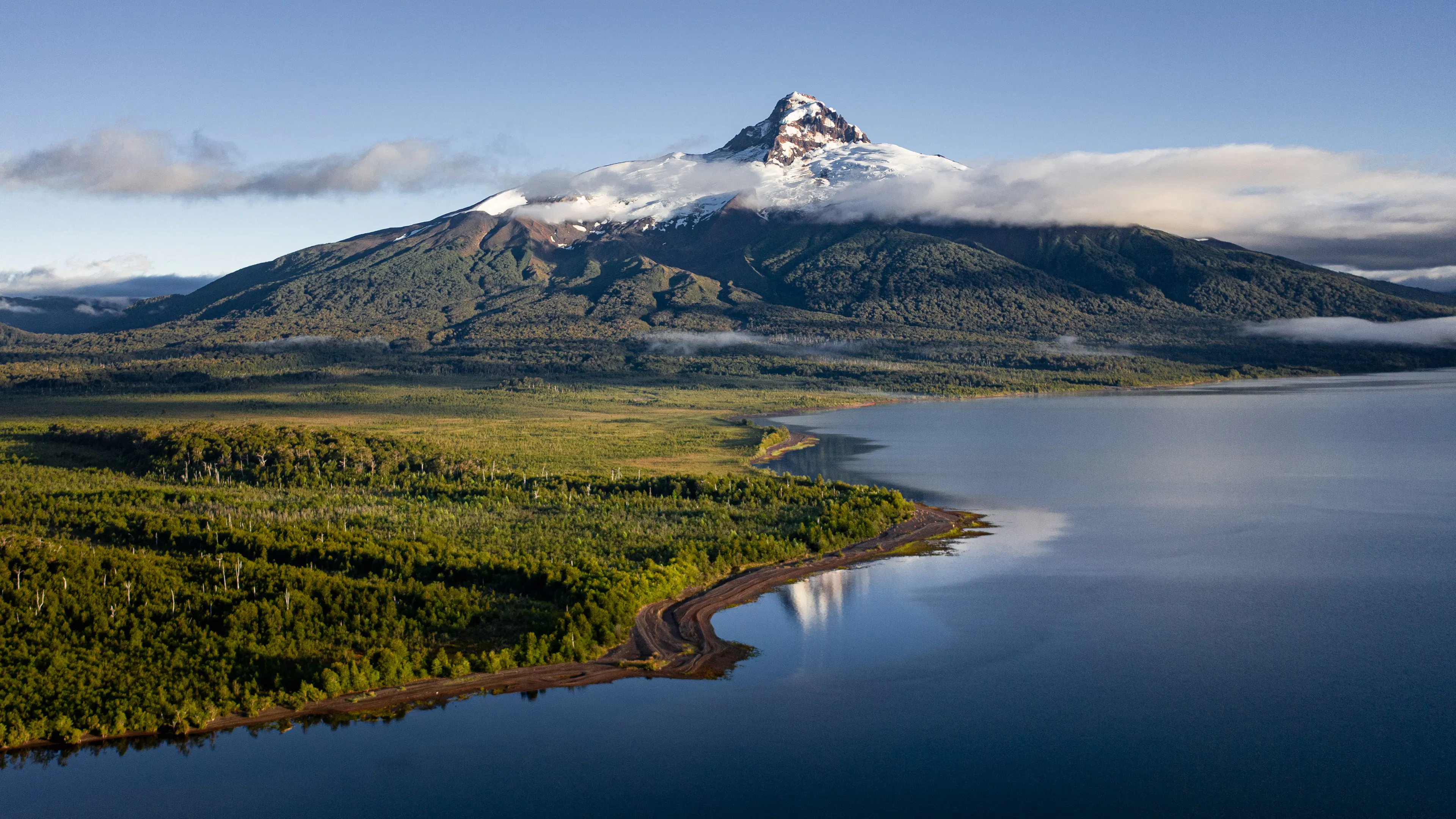 featured image - How We Used Google's Perch v2 to Build a Bird-Based H5N1 Early Warning System in Patagonia