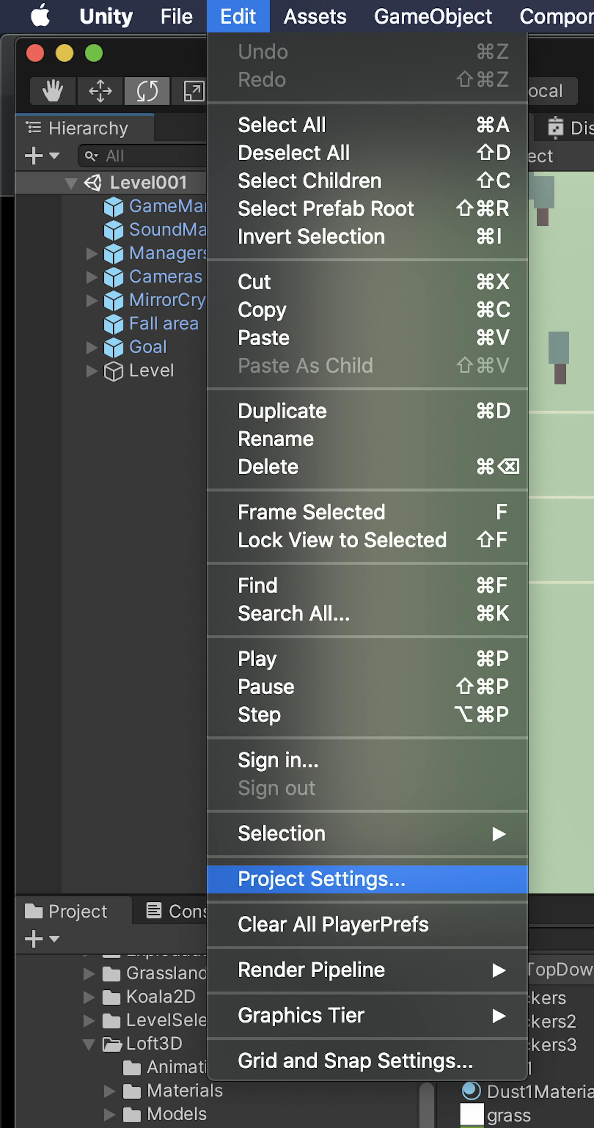 Menu on how to find project settings