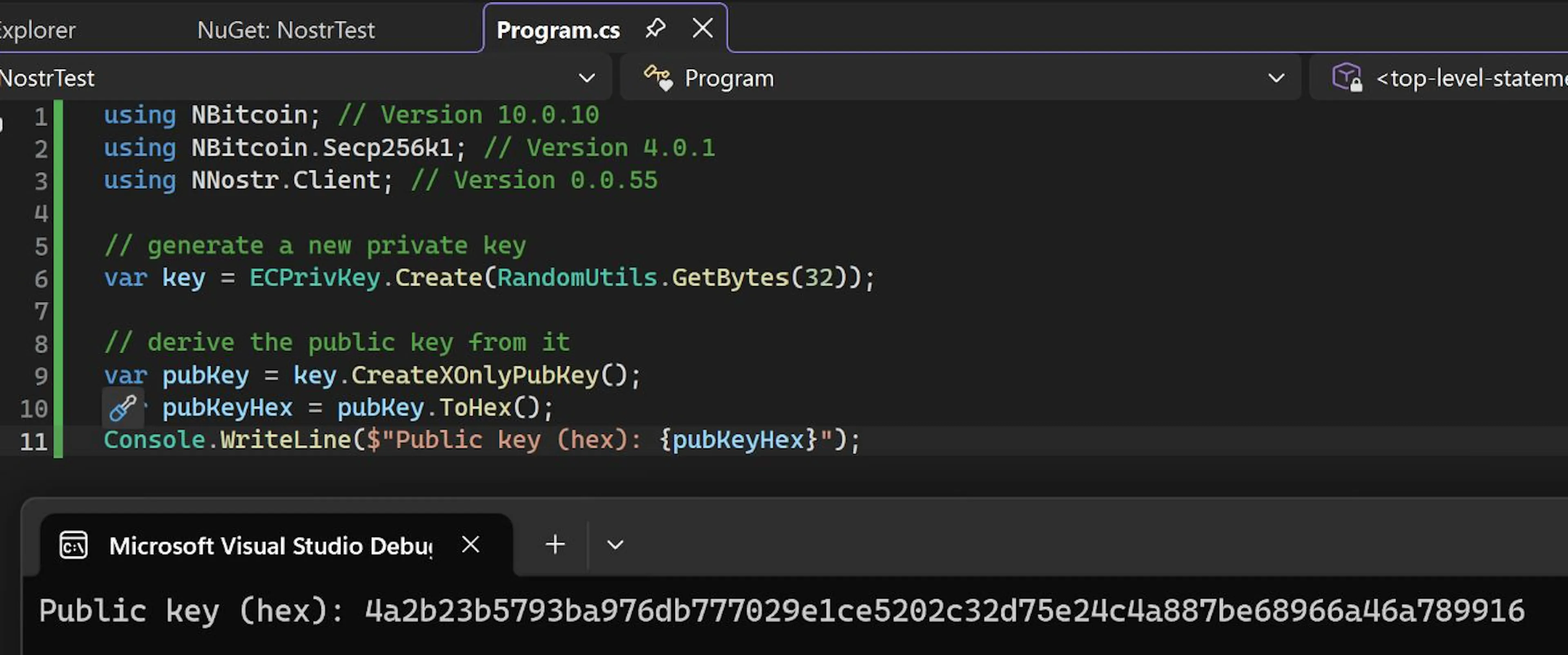Generating a public key for Nostr