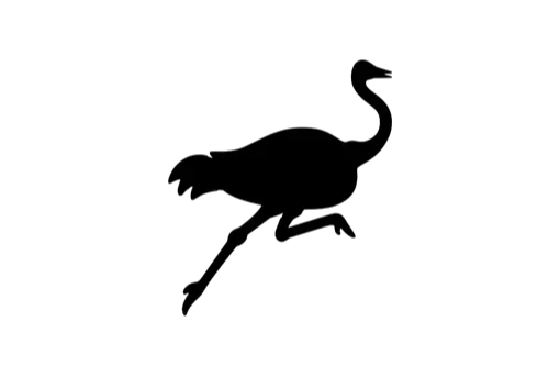 https://hackernoon.imgix.net/images/5PlLwN7nmlgYN9xshp2bPVmCChr1-tj83eys.webp