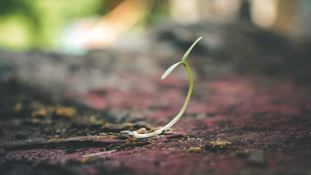 /how-to-get-grants-for-blockchain-projects-the-flip-side-of-funding-9c38331z feature image