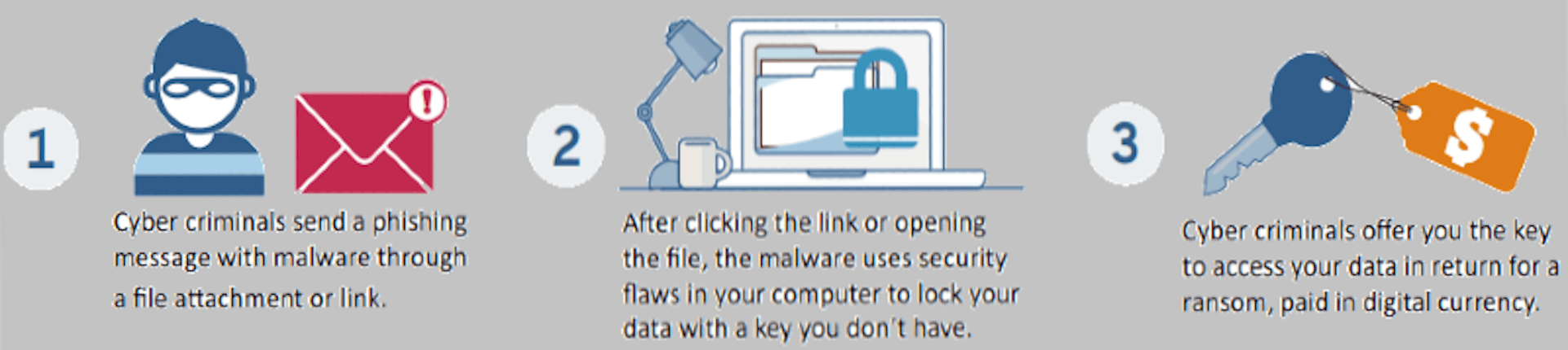 How ransomware works. Image credit: Harvard University