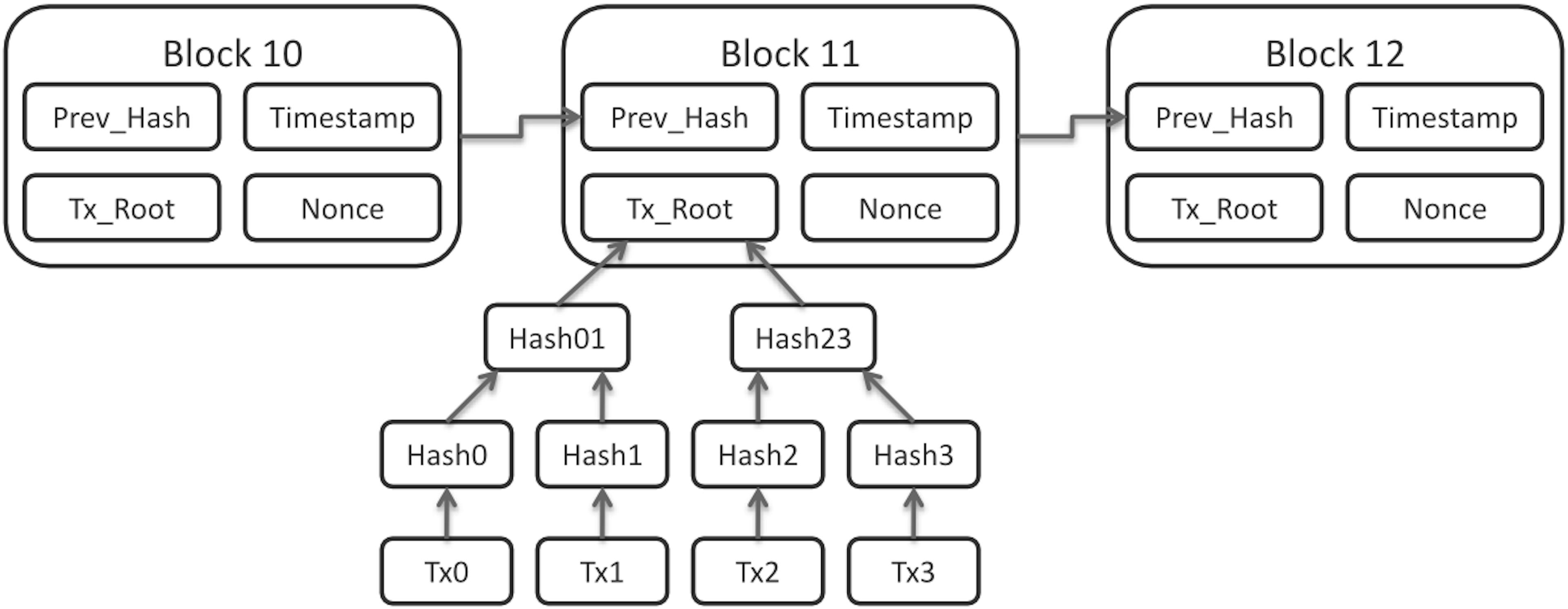 Bitcoin blockchain structure