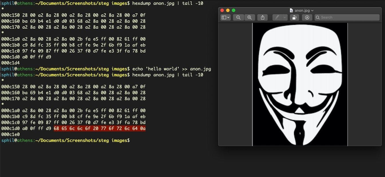 Hiding Secrets: Steganography in Digital Arts and NFTs | HackerNoon