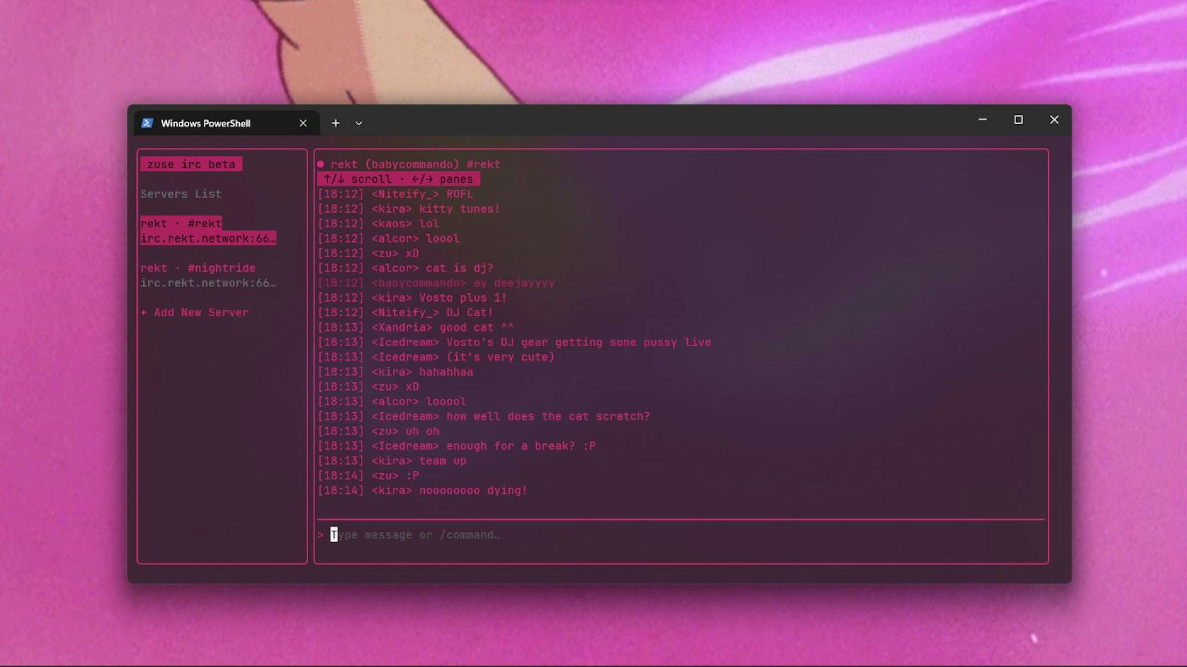 Chatting on rekt.fm — a hackers music radio IRC