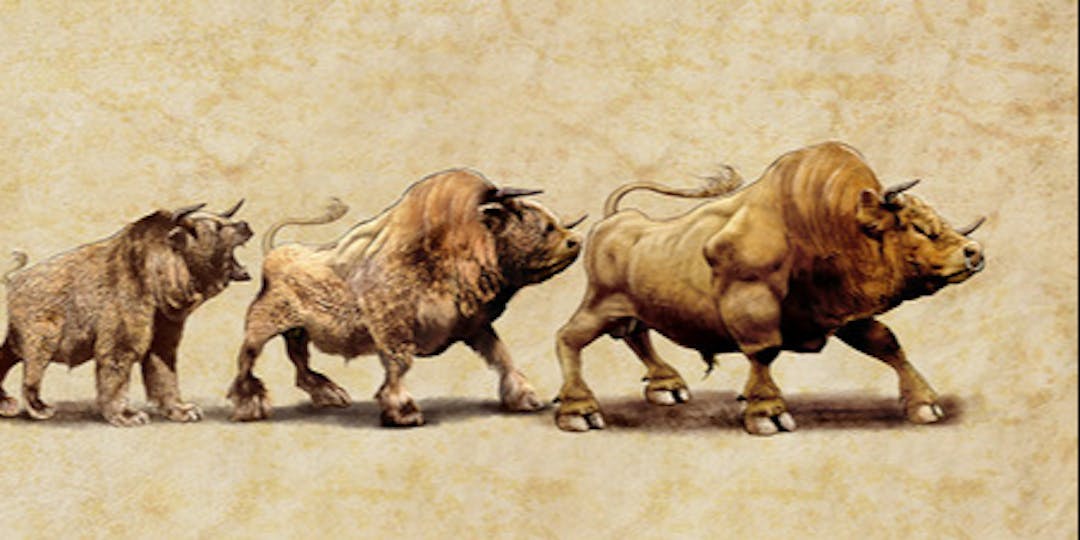 featured image - This Bull Run is Fundamentally Different Than the Previous One. Here’s Why