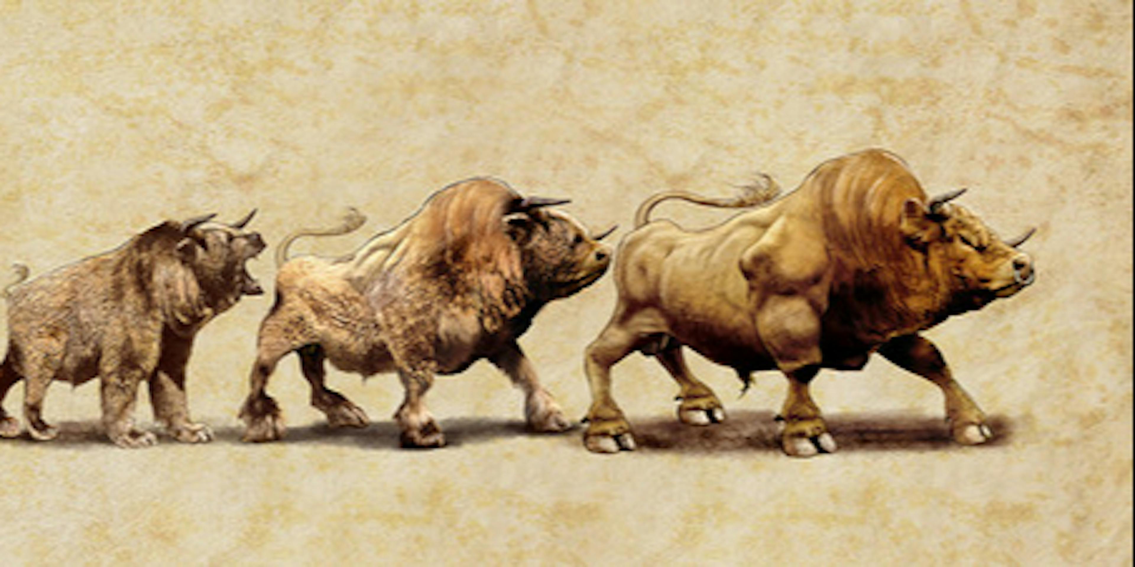 This Bull Run is Fundamentally Different Than the Previous One. Here’s Why