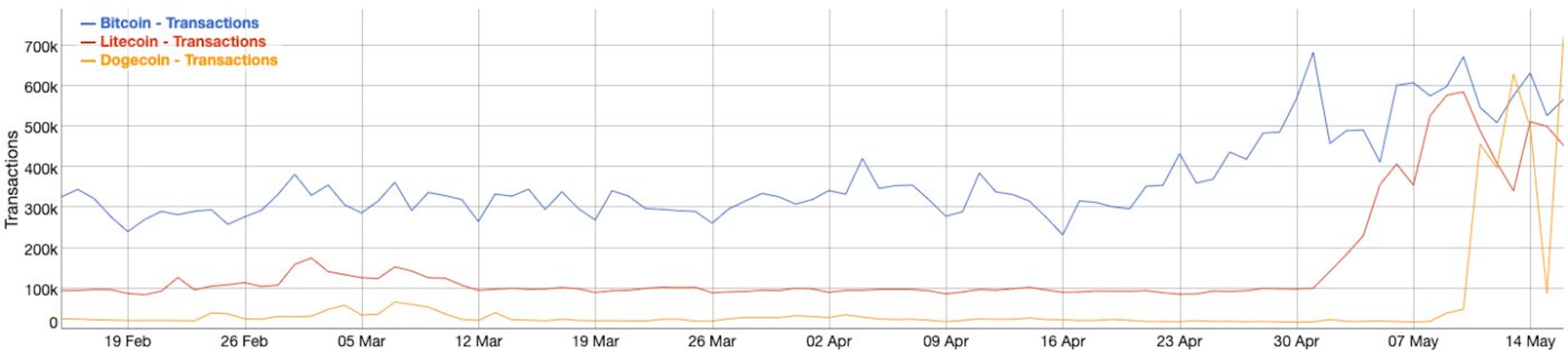 Dogecoin DRC20 transactions \ Source: BitInfoCha