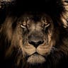 Leon Hart