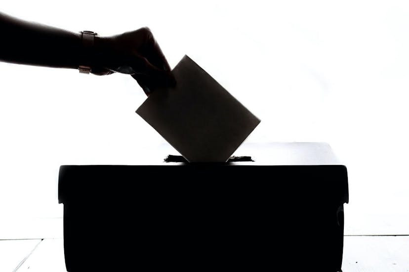 /is-the-voting-process-of-startups-of-the-year-really-democratic feature image