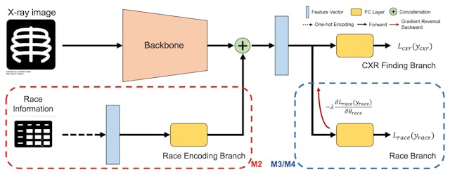 /how-sensitive-data-affects-fairness-and-accuracy-in-medical-ai-models feature image