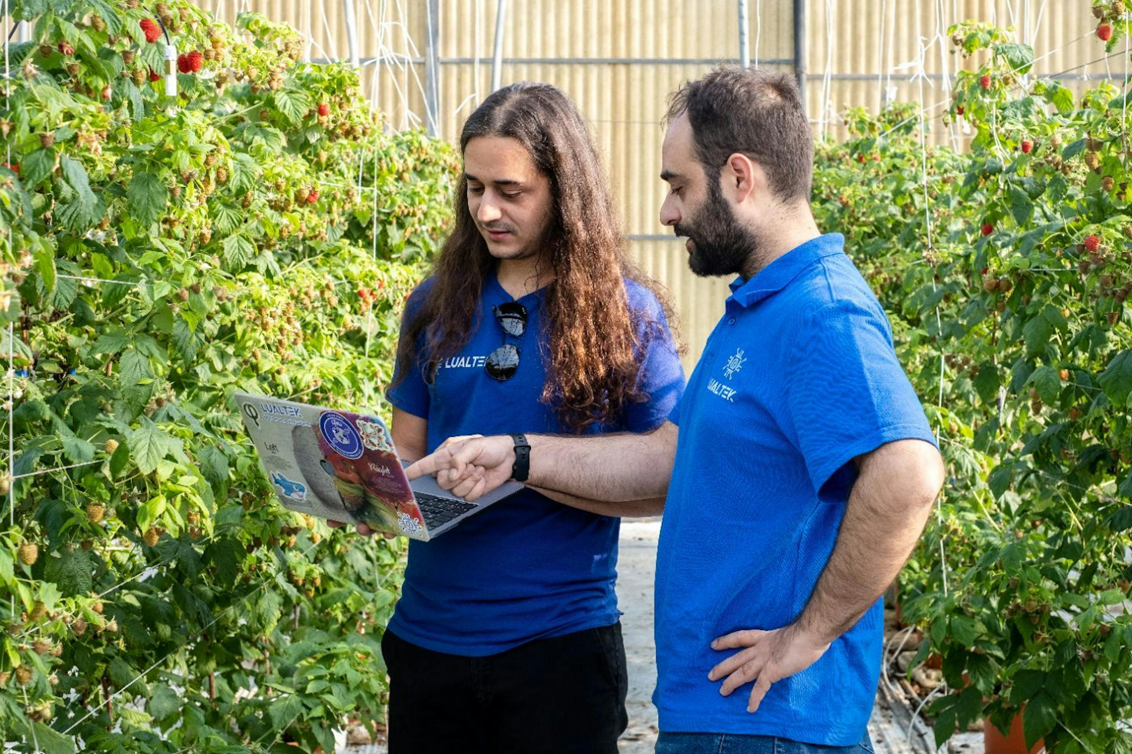 featured image - Supervisión independiente de la energía: entrevista con el nominado a Startups del año, Lualtek