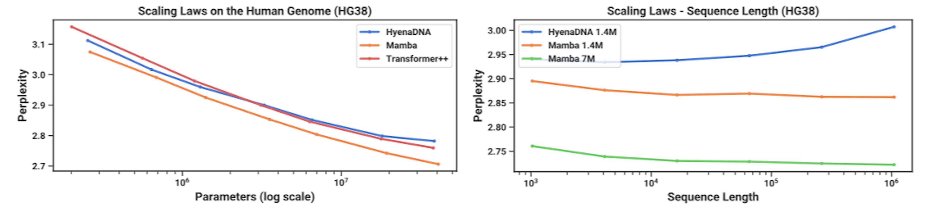 featured image - Mamba Outperforms HyenaDNA in DNA Sequence Modeling