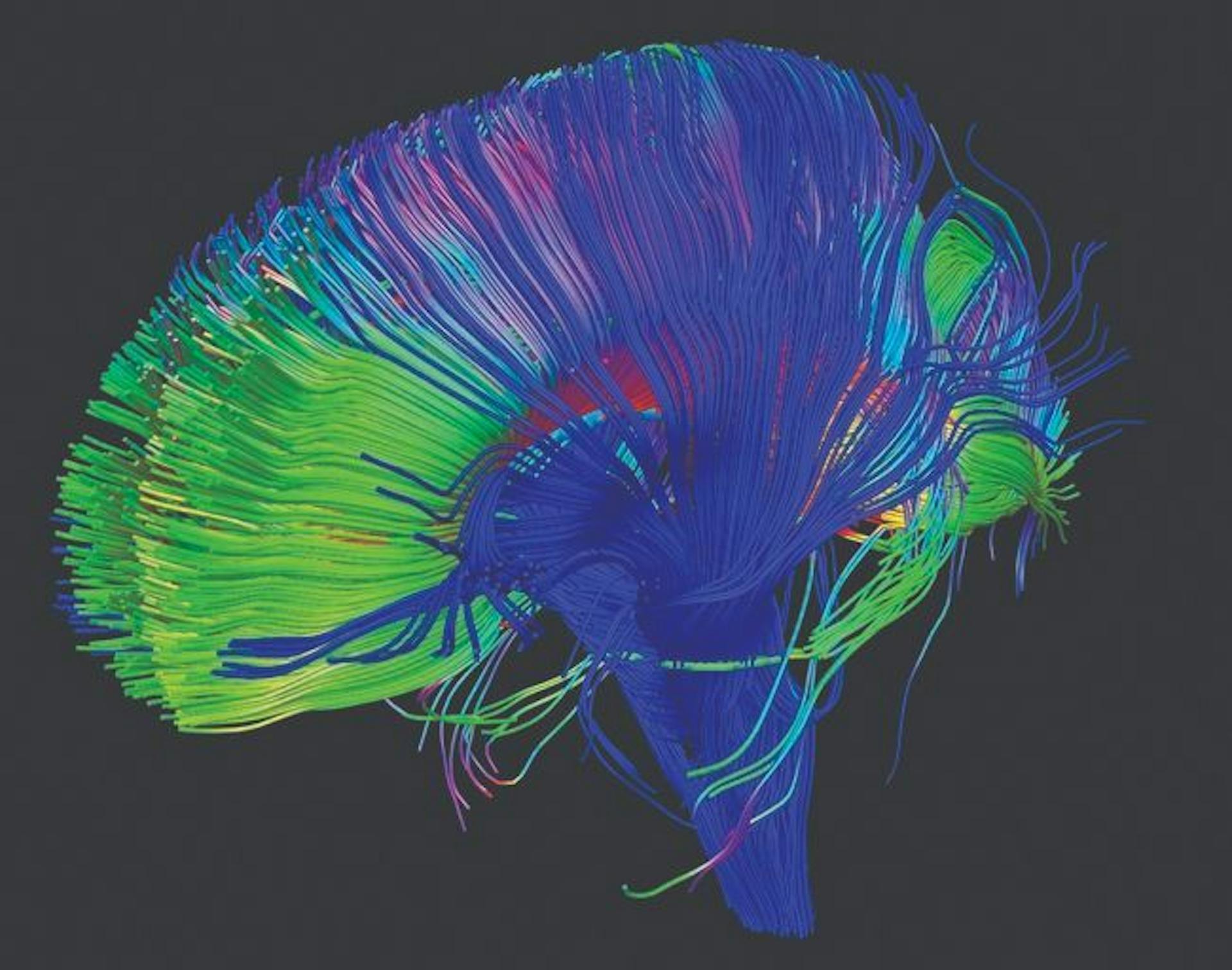 featured image - LLMs: Without the Human Mind, Would AI Regulation Work?