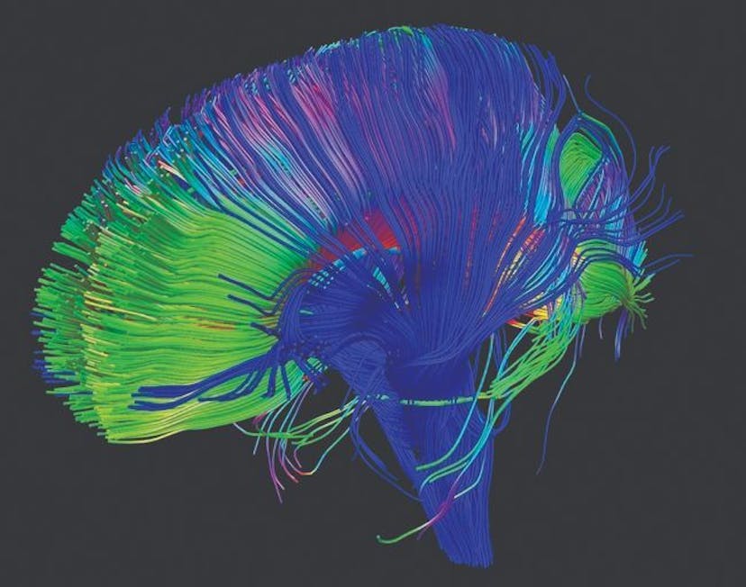 /llms-without-the-human-mind-would-ai-regulation-work feature image