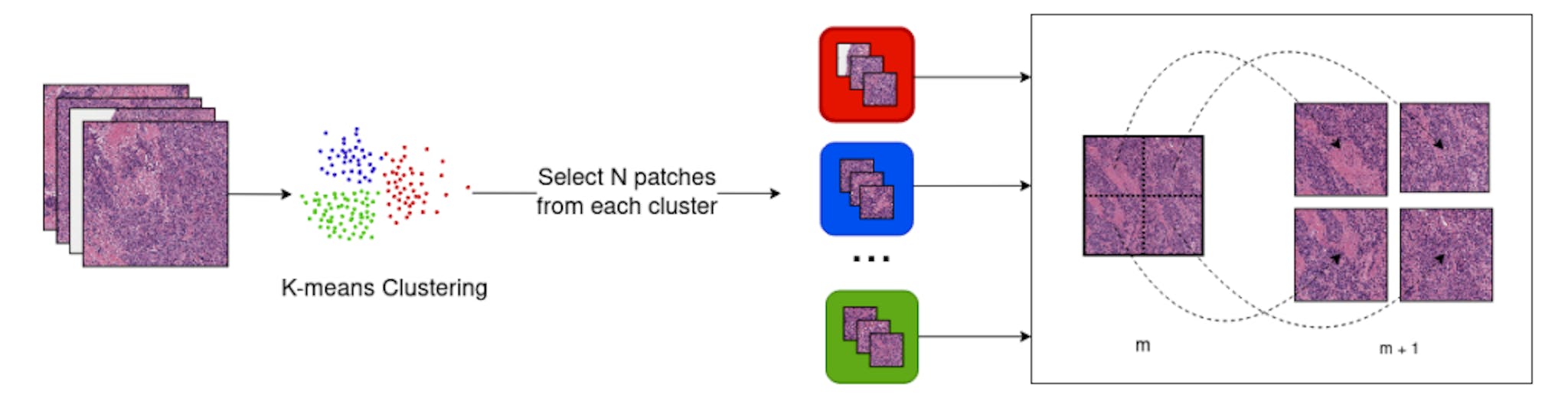 featured image - How We Trained AI Models to Detect Tumors and Gene Mutations