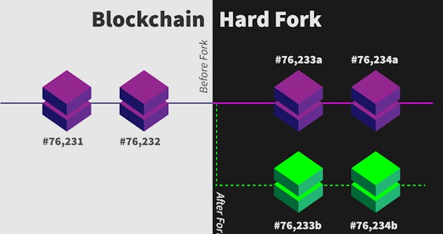 /understanding-blockchain-forks feature image