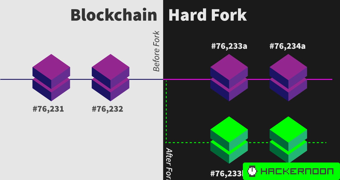 blockchain forks