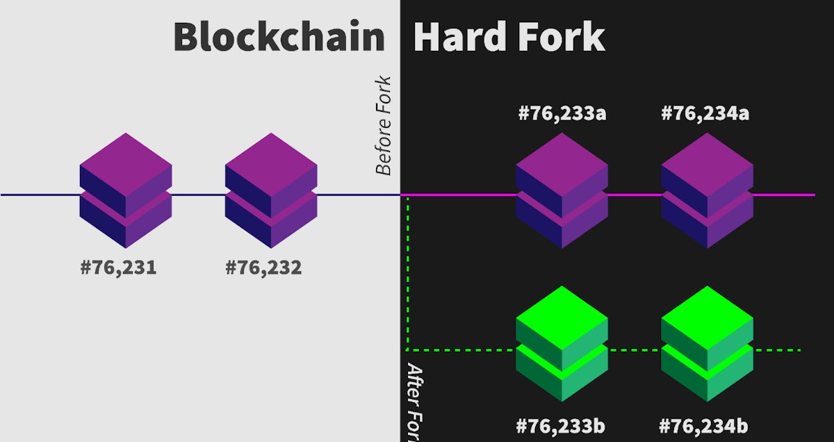 featured image - Understanding Blockchain Forks