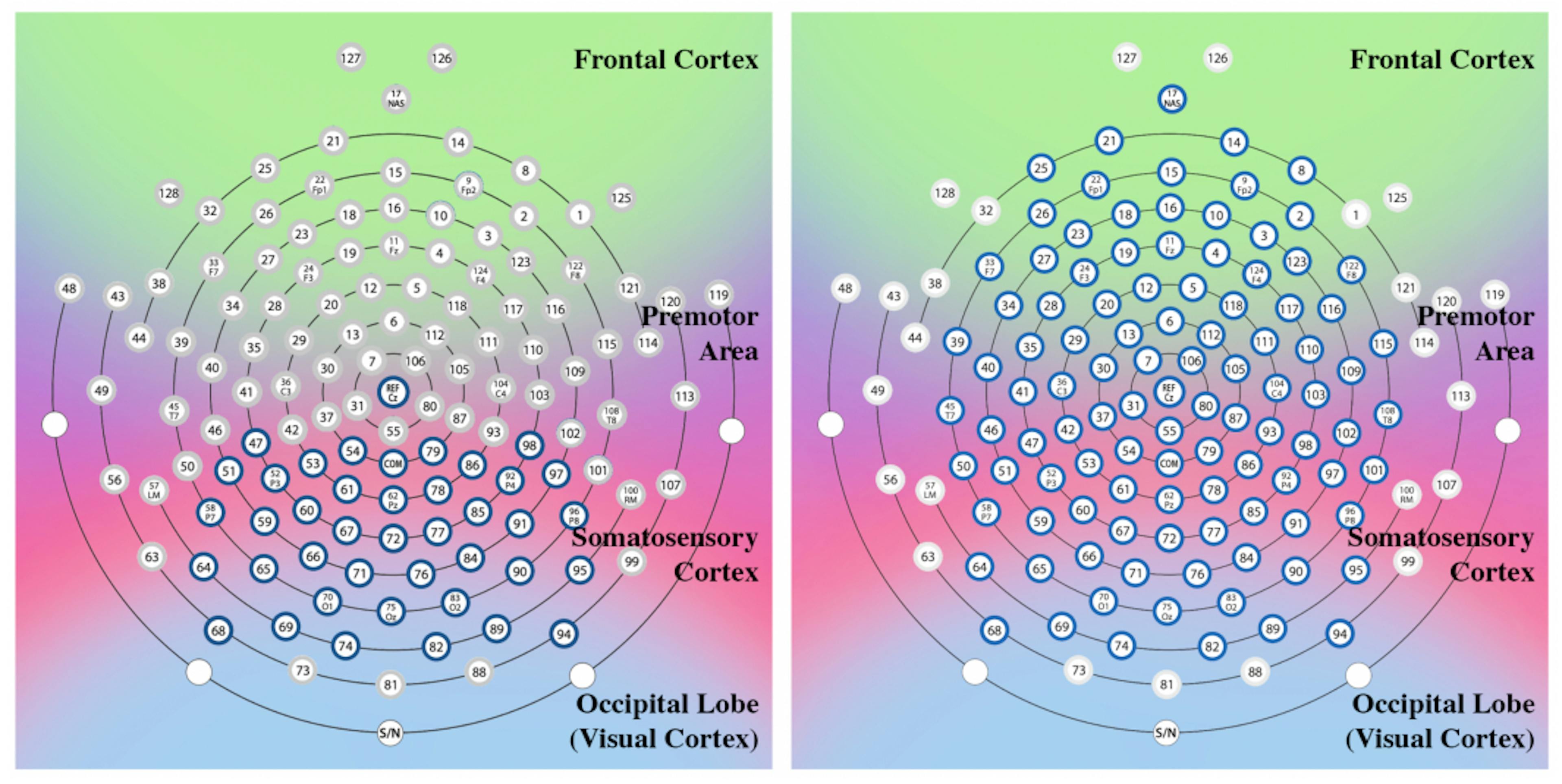featured image - NOIR: Neural Signal Operated Intelligent Robots for Everyday Activities: Appendix 5