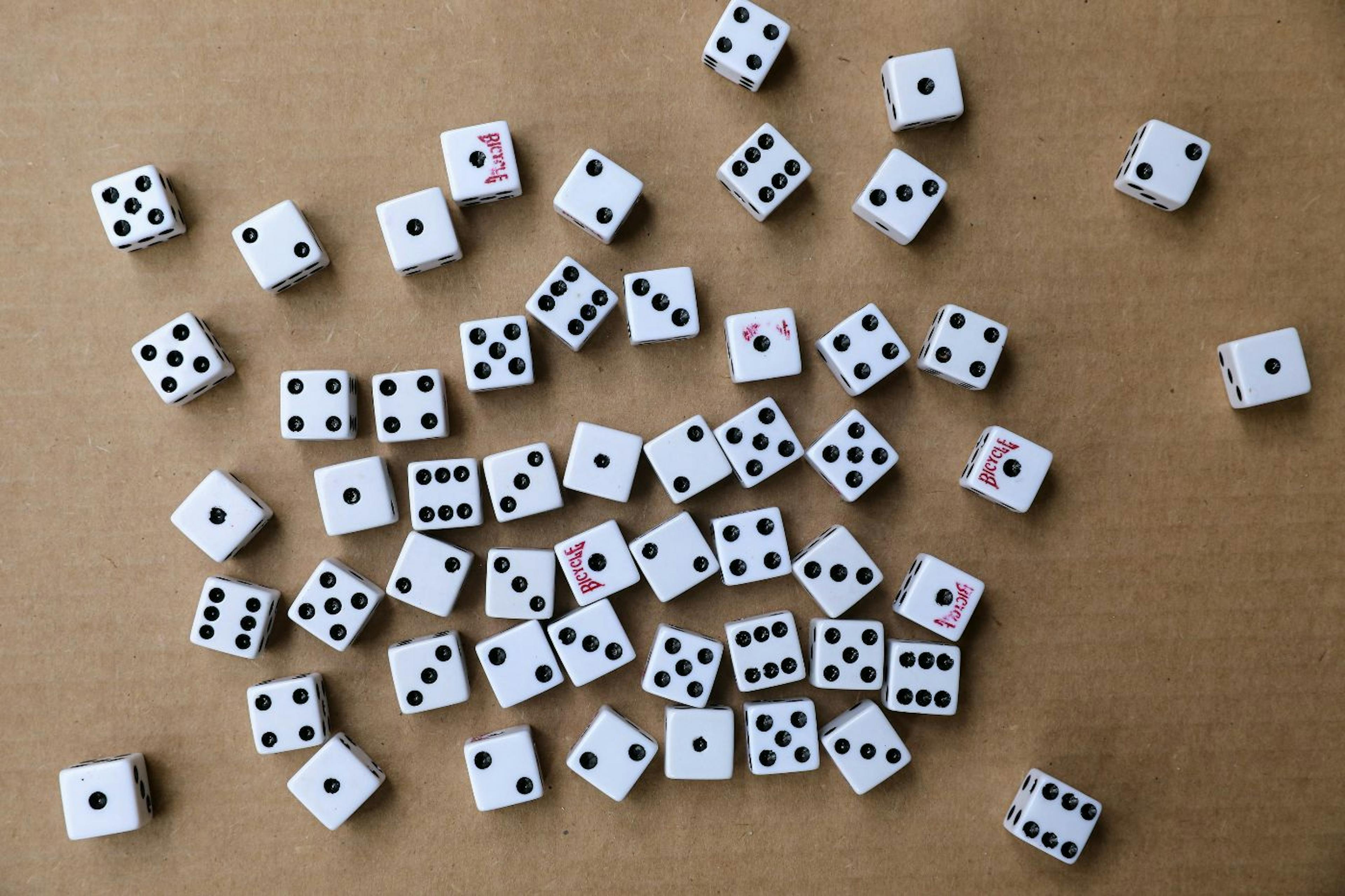 featured image - The Database Zoo: Bloom Filters, HLLs, and Other Strange Beasts of Big Data