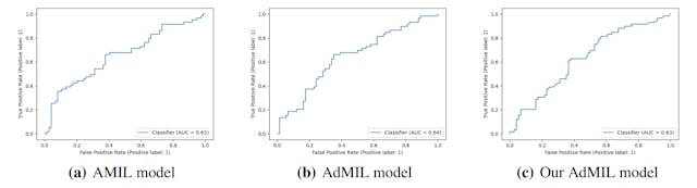 /heatmap-and-accuracy-results-from-medical-image-classification-models feature image